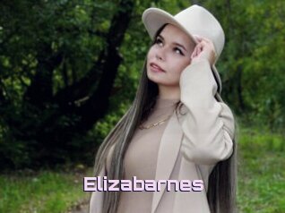 Elizabarnes