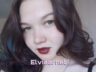 Elviaarnet
