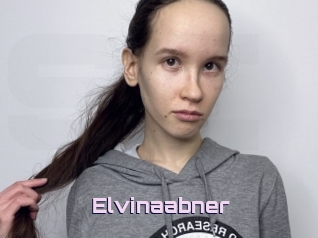 Elvinaabner