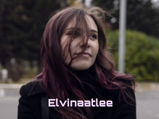 Elvinaatlee