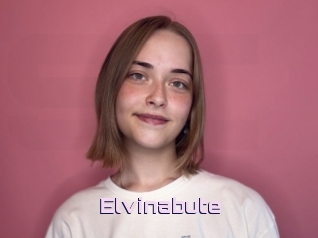 Elvinabute