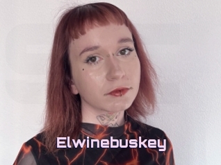 Elwinebuskey