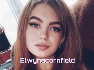 Elwynacornfield