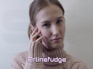 Erlinefudge