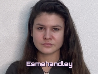 Esmehandley
