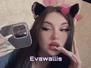 Evawallis