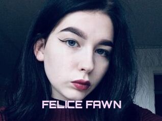 FELICE_FAWN