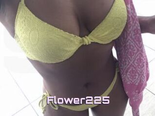 Flower225
