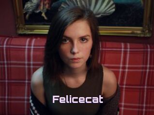 Felicecat