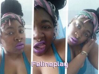 Felineplay