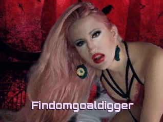 Findomgoaldigger