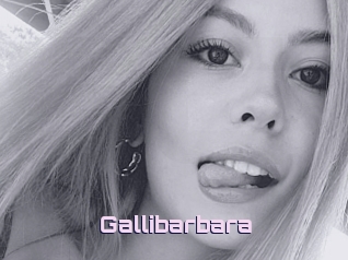 Gallibarbara