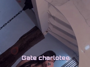 Gate_charlotee