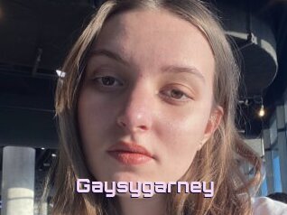 Gaysygarney