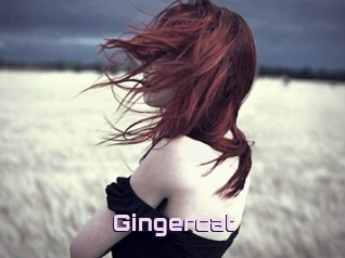Gingercat