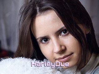 Harley_Due