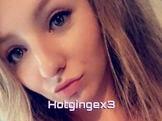 Hotgingex3