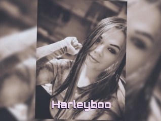 Harleyboo