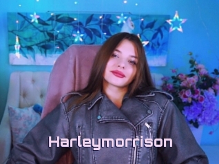 Harleymorrison