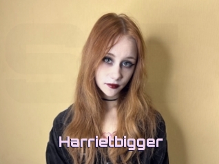 Harrietbigger