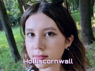 Holliscornwall