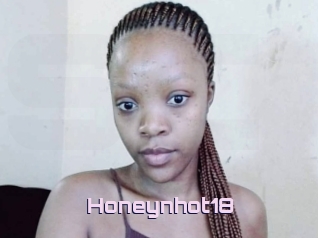 Honeynhot18