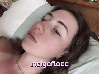 Indigoflood