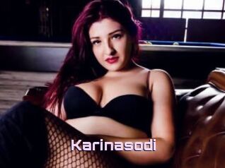 Karinasodi