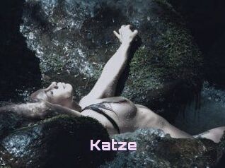 Katze