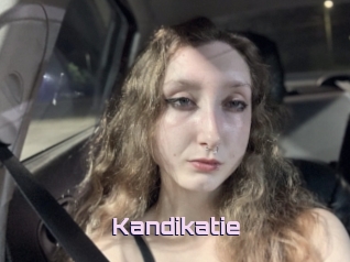Kandikatie
