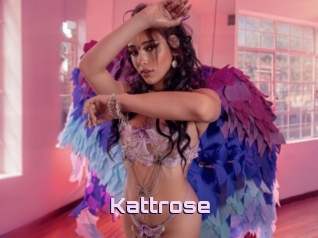 Kattrose