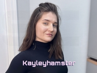 Kayleyhamster