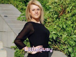 LittleSusy