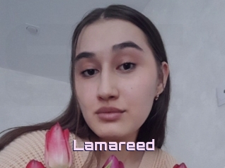 Lamareed