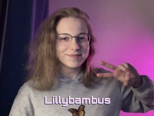 Lillybambus