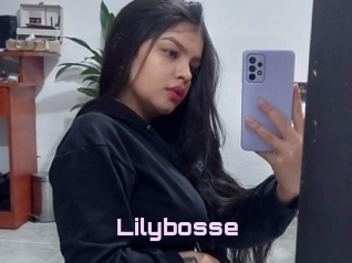 Lilybosse