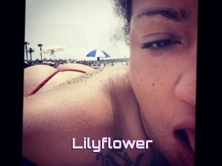 Lilyflower