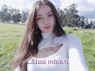 Litlee_miaa11