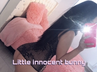 Little_innocent_bunny