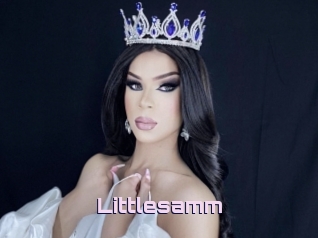 Littlesamm