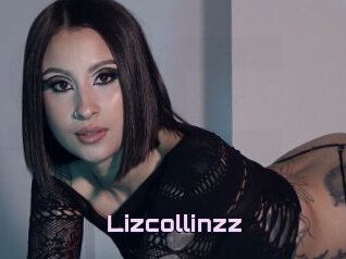 Lizcollinzz