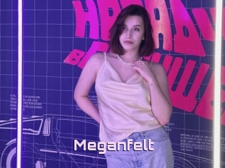 Meganfelt