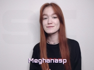 Meghanasp
