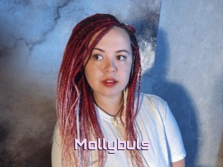 Mollybuls