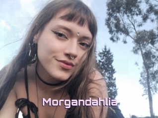 Morgandahlia