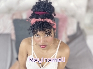 Nayinameli