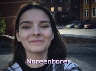Noreenborer
