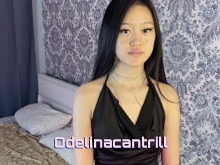 Odelinacantrill