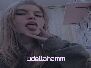 Odellahamm