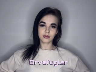 Orvafugler